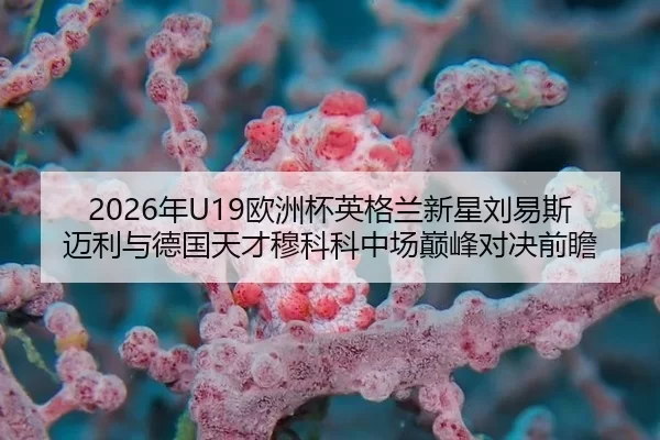 2026年U19欧洲杯英格兰新星刘易斯迈利与德国天才穆科科中场巅峰对决前瞻
