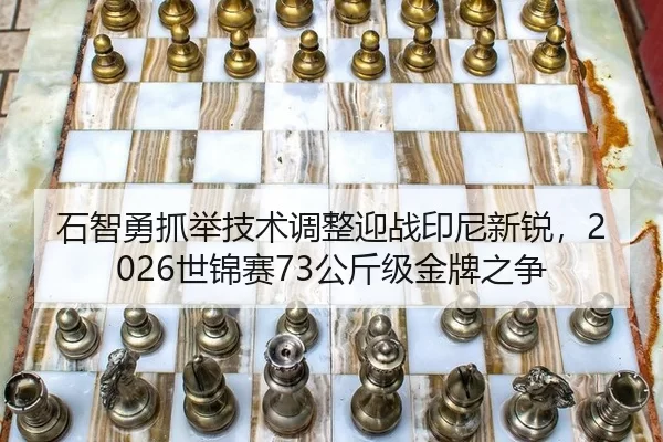 shi-zhi-yong-zhua-ju-ji-shu-tiao-zheng-ying-zhan-yin-ni-xin-rui-shi-jin-sai-gong-jin-ji-jin-pai-zhi-zheng-2-951.jpg
